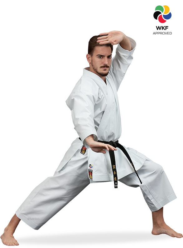 KARATEGI "PRO BUNKAI"