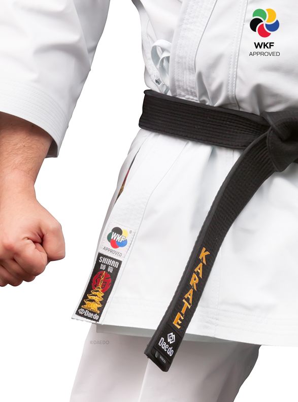 KARATEGI "BUNKAI MASTER"