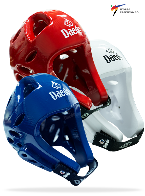 OFFICIAL WT HEAD GEAR