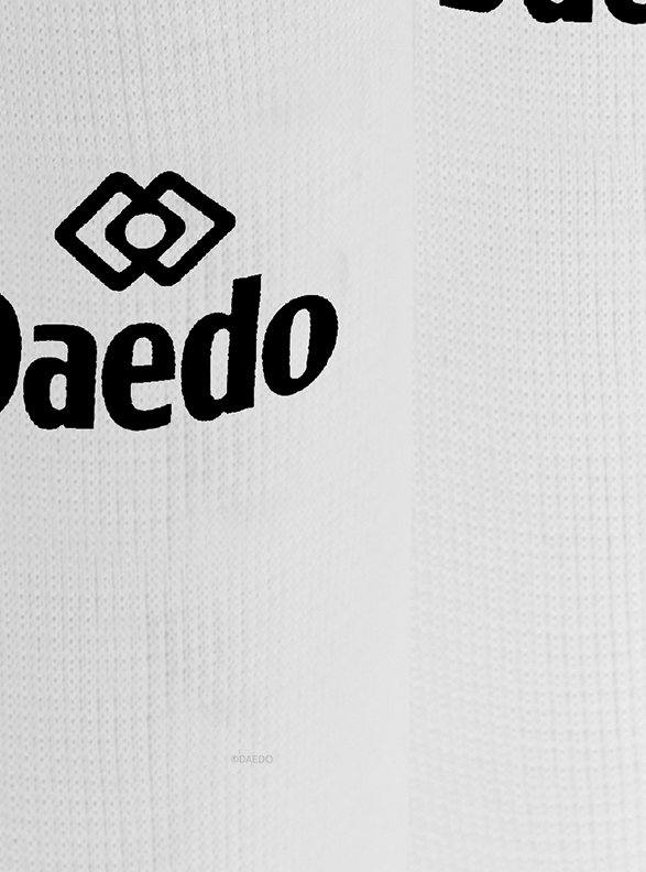 DAEDO TUBE SHIN GUARD